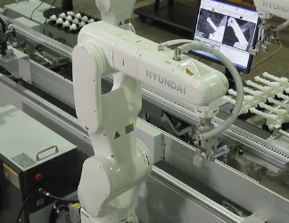 HYUNDAI Robot Series HH7: El nuevo robot HYUNDAI